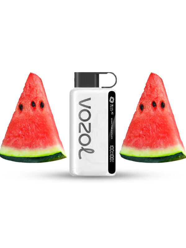 Disposable vape device with 12000 puffs, 20ml e-liquid capacity, 650mAh fast-charging battery, SiLC coil, MCU chip, and vibration-activated screen.