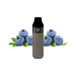 Disposable vape with 2500 puffs, 10ml pod, and rechargeable 600mAh battery, includes USB charger