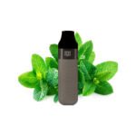 Disposable vape with 2500 puffs, 10ml pod, and rechargeable 600mAh battery, includes USB charger
