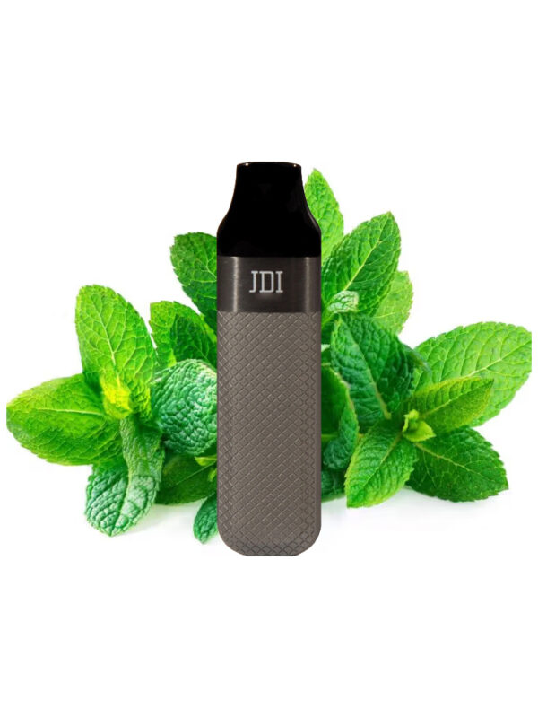 Disposable vape with 2500 puffs, 10ml pod, and rechargeable 600mAh battery, includes USB charger