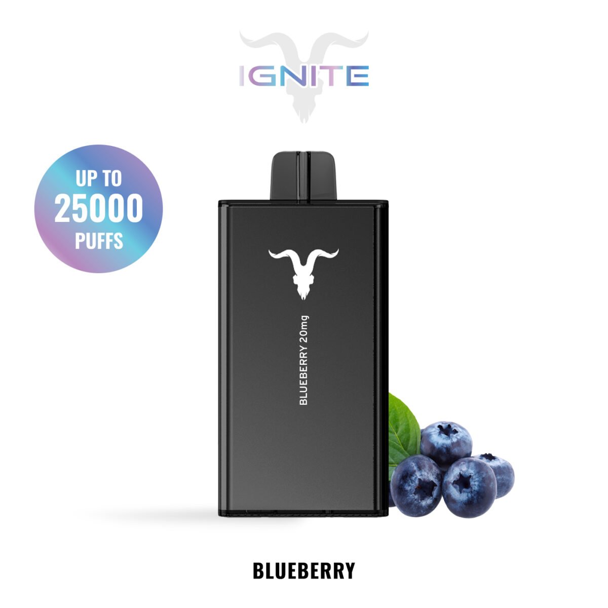 IGNITE V250 disposable vape device, 25,000 puffs, 650mAh rechargeable battery, dual-mesh coils.