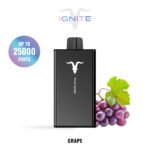 IGNITE V250 disposable vape device, 25,000 puffs, 650mAh rechargeable battery, dual-mesh coils.