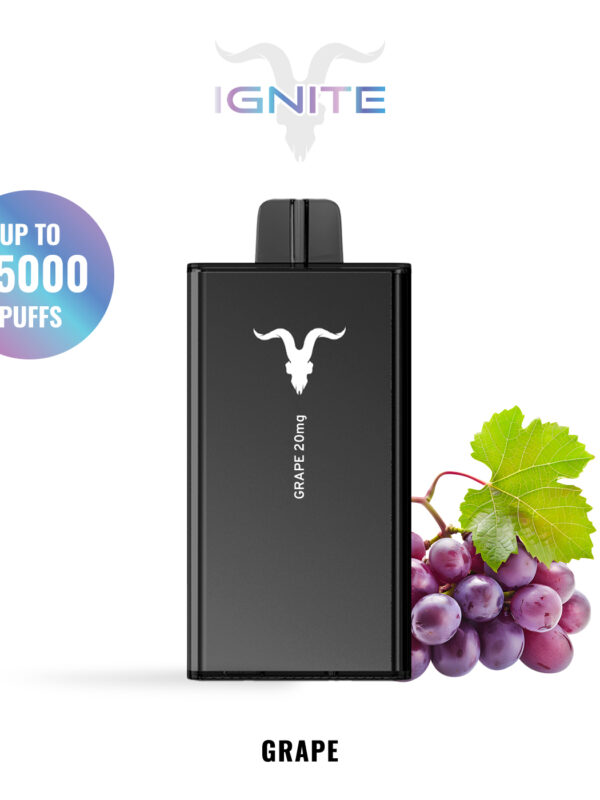 IGNITE V250 disposable vape device, 25,000 puffs, 650mAh rechargeable battery, dual-mesh coils.