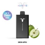 IGNITE V250 disposable vape device, 25,000 puffs, 650mAh rechargeable battery, dual-mesh coils.