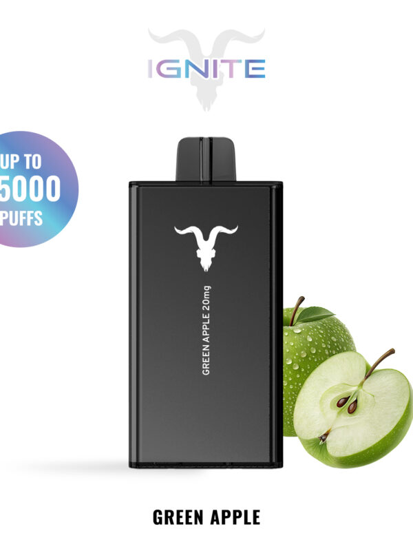 IGNITE V250 disposable vape device, 25,000 puffs, 650mAh rechargeable battery, dual-mesh coils.