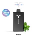IGNITE V250 disposable vape device, 25,000 puffs, 650mAh rechargeable battery, dual-mesh coils.