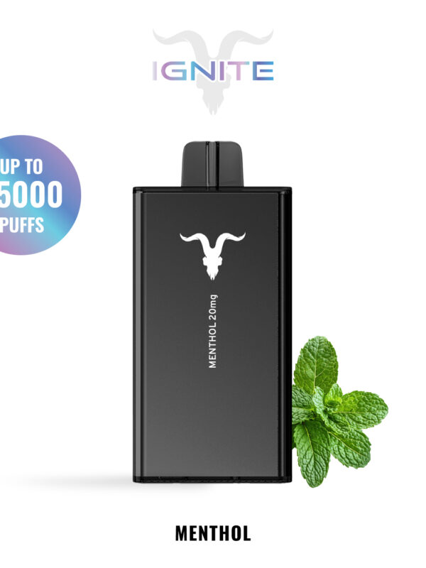 IGNITE V250 disposable vape device, 25,000 puffs, 650mAh rechargeable battery, dual-mesh coils.