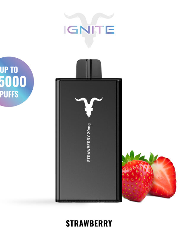 IGNITE V250 disposable vape device, 25,000 puffs, 650mAh rechargeable battery, dual-mesh coils.