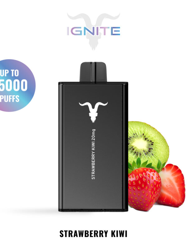 IGNITE V250 disposable vape device, 25,000 puffs, 650mAh rechargeable battery, dual-mesh coils.