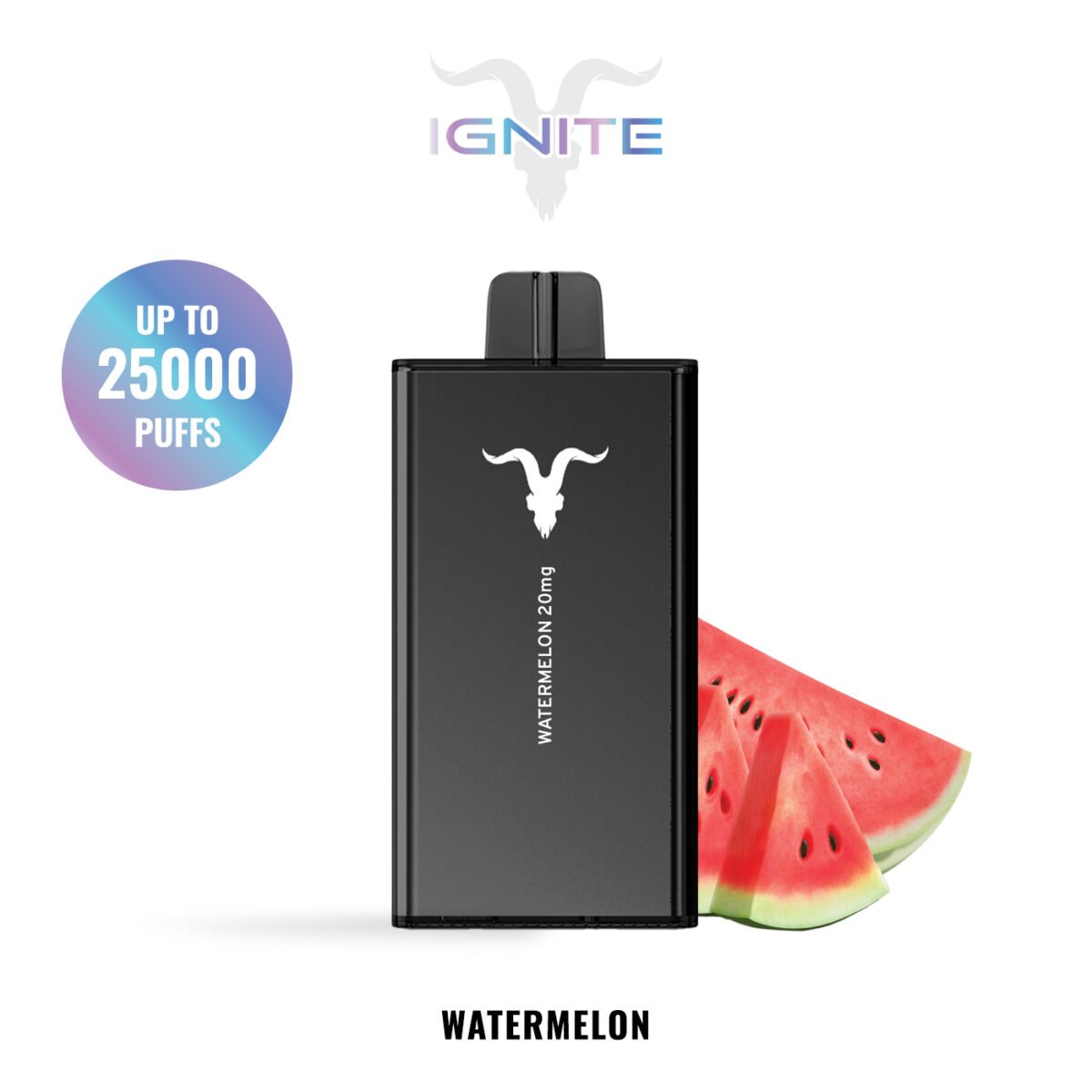 IGNITE V250 disposable vape device, 25,000 puffs, 650mAh rechargeable battery, dual-mesh coils.