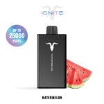 IGNITE V250 disposable vape device, 25,000 puffs, 650mAh rechargeable battery, dual-mesh coils.