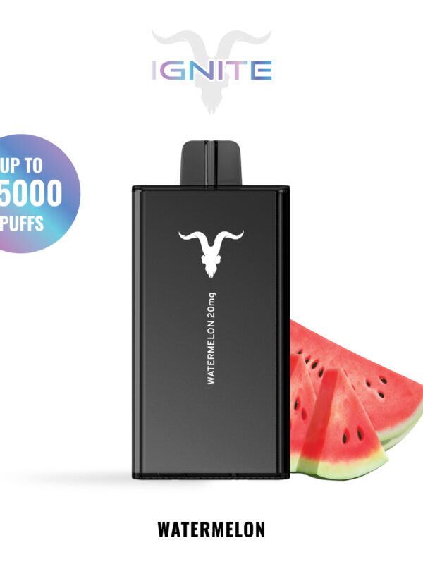 IGNITE V250 disposable vape device, 25,000 puffs, 650mAh rechargeable battery, dual-mesh coils.