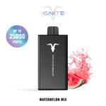 IGNITE V250 disposable vape device, 25,000 puffs, 650mAh rechargeable battery, dual-mesh coils.