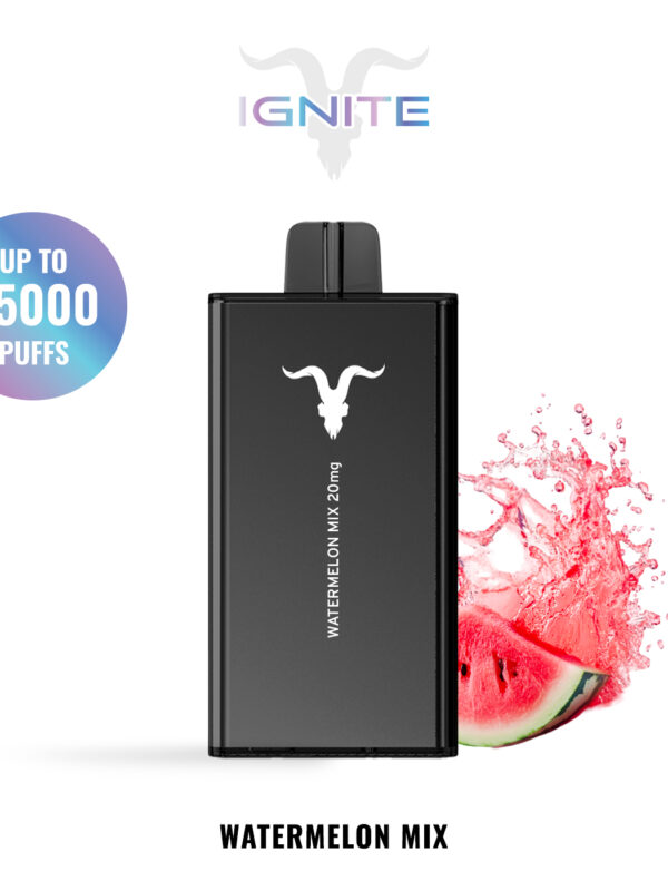 IGNITE V250 disposable vape device, 25,000 puffs, 650mAh rechargeable battery, dual-mesh coils.